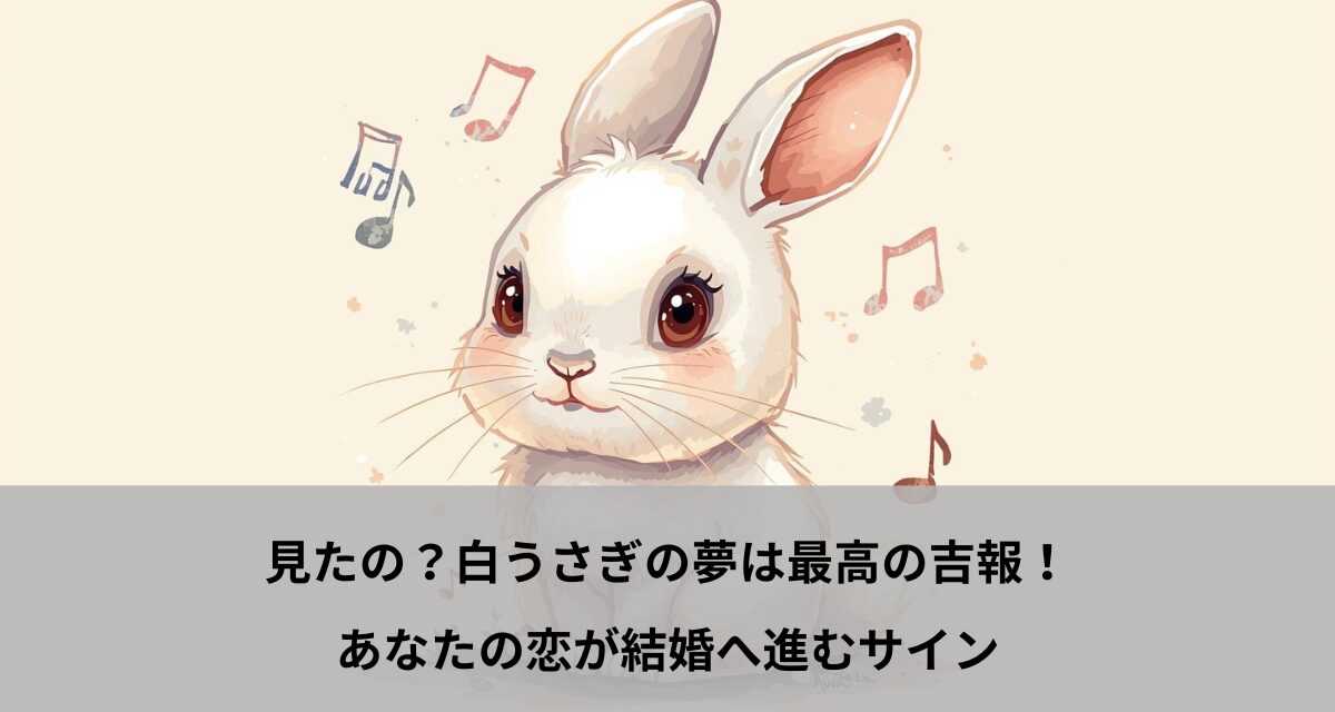 見たの？白うさぎの夢は最高の吉報！あなたの恋が結婚へ進むサイン